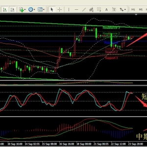 ���y��Ӎ-��Ī�ܣ���Ϣ�_�y�����y�͑n���������q���y��