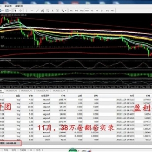 �쵓ؔ(c��i)�F(tu��n)���S��Ͷ�Y���׵�̎��