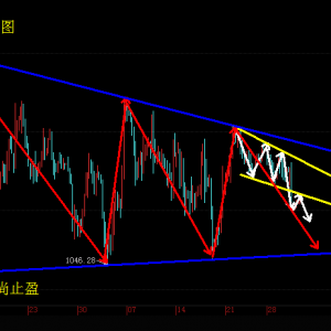 ����ֹӯ���S������չ�֮���ܷ���Ʊ؝q�vʷ��