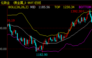 ���ؽ�Ͷ�Y��֪�ļ��g(sh��)ָ��(bi��o)֮���־�