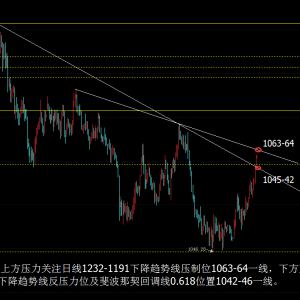 ����ֹӯ���S��픲����γɣ��o�����r��ָ����