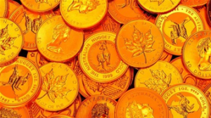 ���ؽ�Ͷ�Y�е�15�������g�Z