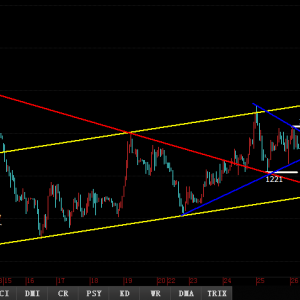 ����ֹӯ���S�������_���Ճ��^����������