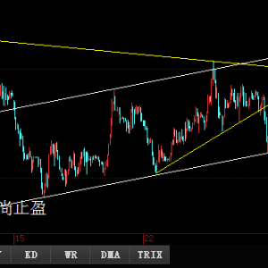 ����ֹӯ���S��ƿ����У��Pע1250������