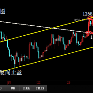 ����ֹӯ���S�����Ǐ�����λ���������R�س�������