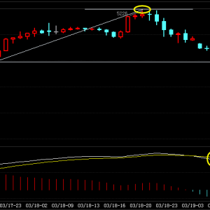 ����:�̓r�ϝq�Ƿ���d�^�磿�³���3.21�������ԣ�