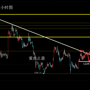 ����ֹӯ���S������Ϲ�Ī����څ�ݾ������f���գ�