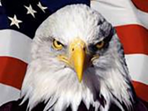 �C���F���٣���(li��n)��(ch��)�نT���ɴ� ���y�_�߻���