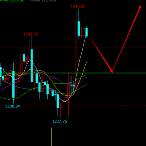 ����Փ���S��M�P��ʎ�����g1236����