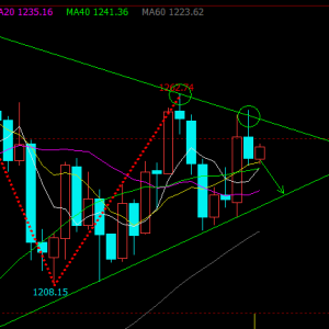 ����Փ�������΅^(q��)�g��ʎ��1251-1252̎���S��