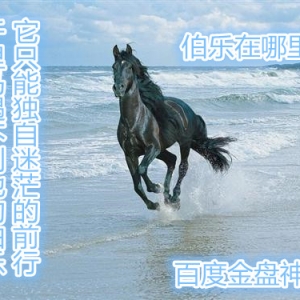 ��P���֣�������Σ��ҵ�Ŭ�������ӯ�����ҵ�׷��!