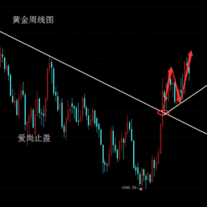 ��(��i)��ֹӯ����(gu��)�H�S��������2016��8�·�֮ǰͻ��1400��Ԫ/��˾�P(gu��n)�ڣ�