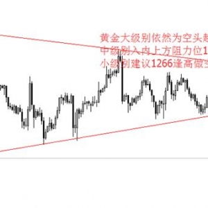 XCOQ�ۿ���R���Mϣ����Փ�ٶ������Ј���������������