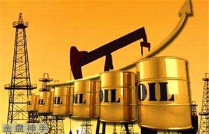 �̓rС���������P���_������������^����