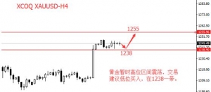 XCOQ�ۿ���R���S���^�m��λ������Ү����Փ��������