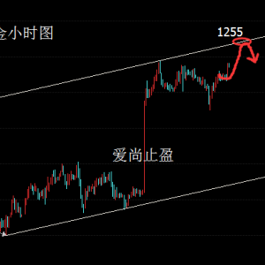 ��(��i)��ֹӯ��̽�׻����o(w��)�س����S�������m(x��)������