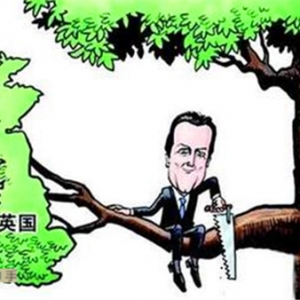 Ӣ����Ó�W����Ͷʢ�����һ�����o�����Ј�������Щ���יC����