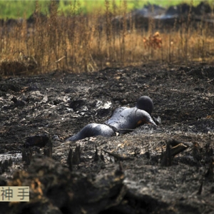 �a�ʹ�����ȁ������֏ͣ�ԭ�͞r����Ȼ������߄ݷ���