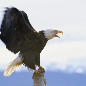 �����ؔ������ڰ��y�Ј��г���