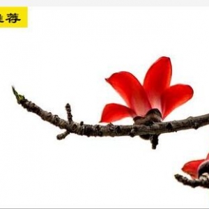 �����ؔ��������׆�ԭ��ֹ֮�p�������`�^