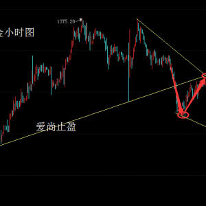 ����ֹӯ����P���r�������У�����1337�^�m���գ�