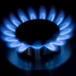 �����ؔ��7.15���u���y��Ȼ�����g�������h