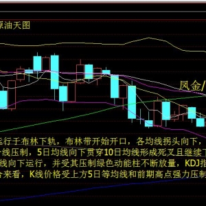 �P����ؔ���̓r���ڃȿ��y�������S���՛Q��1330