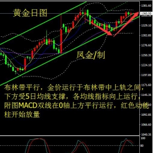 �P����ؔ���Q���ϵ���r֮ҹ�����y���^��Ű���^