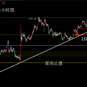 ����ֹӯ�����rӰ푺�Ų��㣬�S���Pע1328֧�Σ�