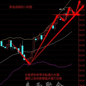 ����۽𣺶�������ԭ�͝q����� API����EIA�����̓r����һ��?