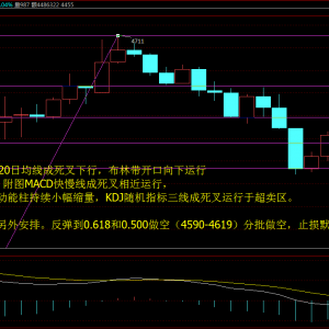 Ф�Y��:8.23���g���F�r���������