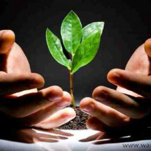 100�f�����ؔ �����������