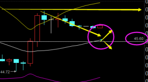 ���ʥ�֣��������Ȉ������y���ݕ������������̓r