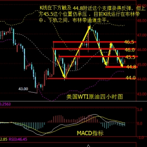 ����۽��̓r���^�l����API�����̓r�Ƿ񷴹�߀������EIA
