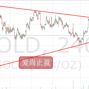 ����ֹӯ���S���վ��B����У�����1311�о����࣡