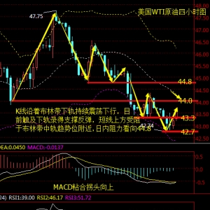 ����۽�9.19����Ү����(zh��)�ƙ�(qu��n)��ԭ�ͽ��������