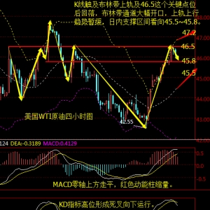 ����۽�9.23ԭ�ͫ@���˽Y(ji��)���N�𣬶��^֔(j��n)����ɫ������