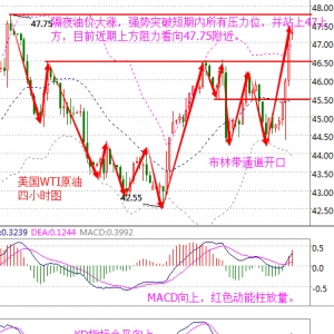 ����۽�9��29�գ�EIA�������鷴�D���Ӯa�f�h���Ƕ�����