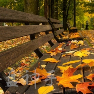 10.4ԭ�͞r����Ȼ�����鼼�g(sh��)�������ղ������h