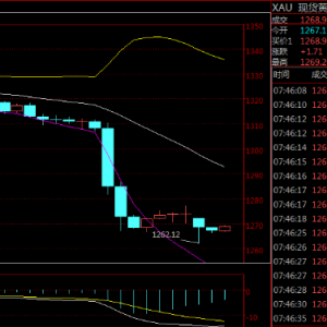 Ф�Y�£�10.6���g���F�r��.���y������������r�ܣ�