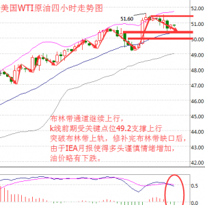 ����۽�10��12�գ����Nꎾ��ӻ��䣬�̓r���50��Ԫ���l��