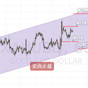 ����ֹӯ���S�𕺕r�^����ԭ���Pע46.3֧�Σ�