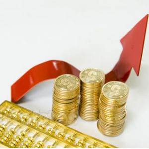 ʲô�ǹə�(qu��n)Ͷ�Y����