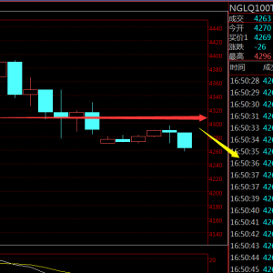 Ф�Y�£�11.11���g���F�r��.���F���y�������