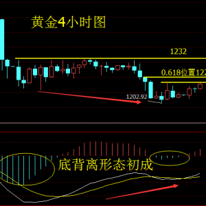 �_���x��11��21���S��q�ݲ��p��ԭ�Ͷ��^����