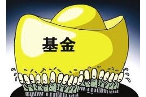 ��ؔС��Ͷ�Y�n�ã�С�����Ͷ�Y����