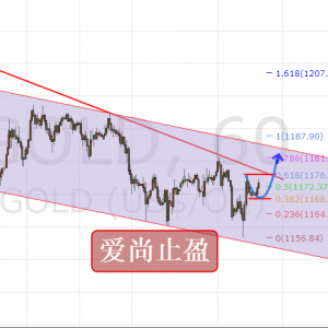 ����ֹӯ����ҹ��������m���S�����g��Ͷ���