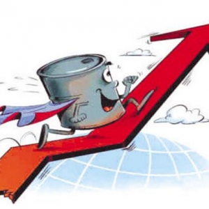 �_���x��12��9��OPEC�p�aѩ�ϼ�˪���̓rС���f���ͷ�