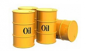 ȫ�򌦛_����ӿ��{�}���� �S�����ւ}�j��