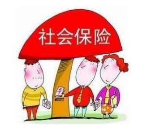 2016�������籣����̎�͗l��